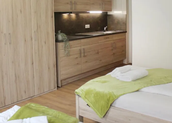 Ξενοδοχείο με διαμερίσματα Am Wittelsbacher Markt By Greenpartment Langquaid